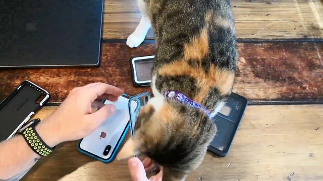 Best Water Resistant Cases смотреть онлайн