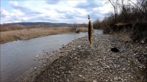 Рыбалка! ловим Голавля на поплавочную снасть! Весной! 2 Апреля 2021.В горной реке Лаба.