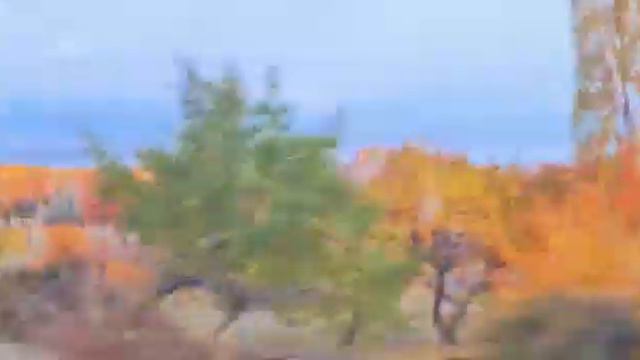 Нарядная осень Семиречья / October in Semirechye смотреть онлайн