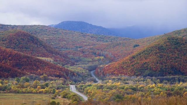 Николай Пржевальский, Краткая биография смотреть онлайн
