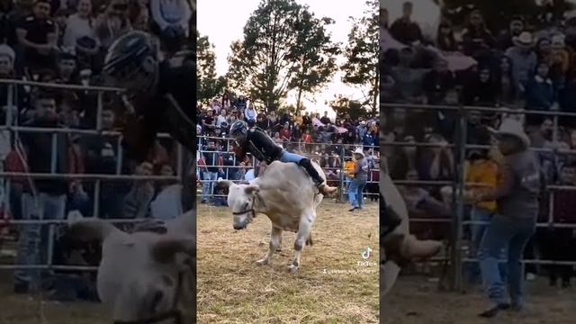 El esquimal ? смотреть онлайн
