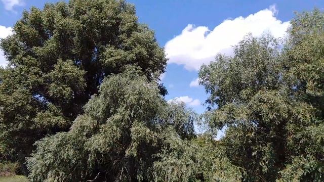 Баян.Малая родина смотреть онлайн
