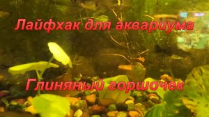 Лайфхак для аквариума "Глиняные горшочки".