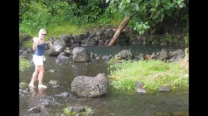 Казанская икона Божией Матери. Беседы Марии.