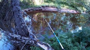 Хариус на микроречке! Рыбалка на поплавочную удочку!