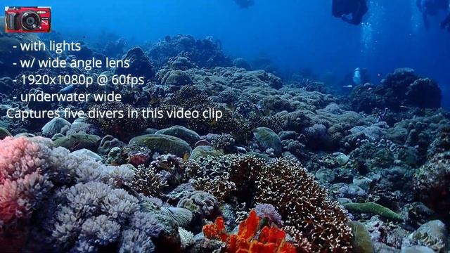 Olympus TG6 vs Akaso V50X for Underwater Filming смотреть онлайн