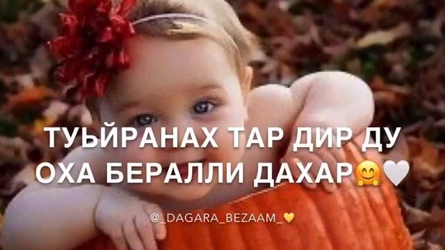 Дала декъал йойл ? смотреть онлайн