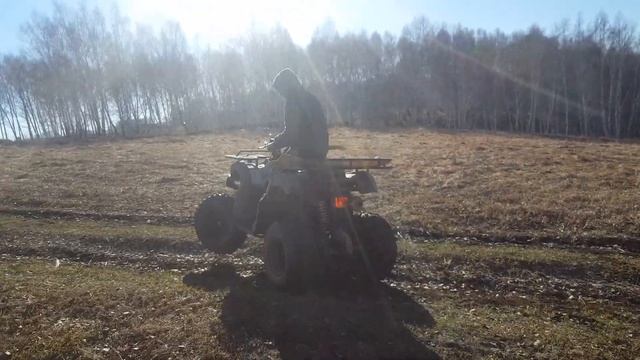 Avantis Hunter 150 смотреть онлайн