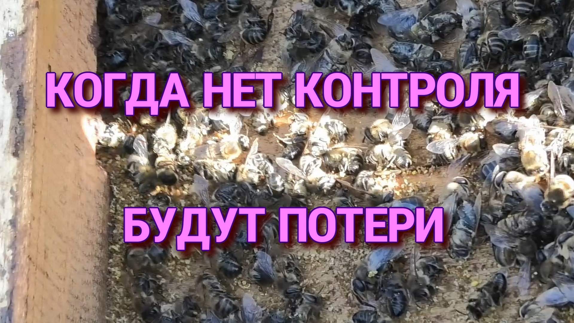 ПЕРВАЯ ПОТЕРЯ В ОКТЯБРЕ((( смотреть онлайн