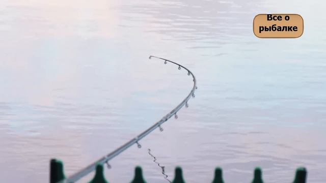 Весенний лещ на пикер смотреть онлайн