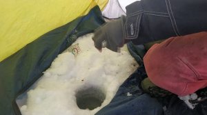 ЛЕЩ ИДЁТ ❌ Зимняя рыбалка в Башкирии