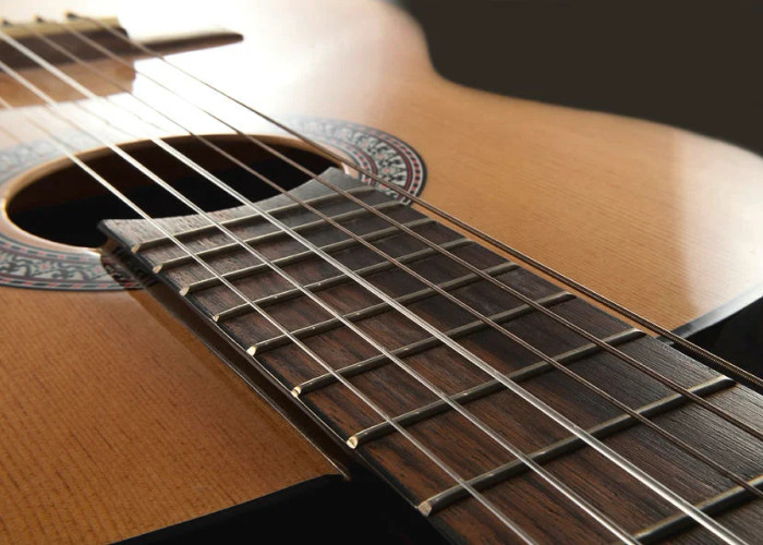 Родриго. Аранхуэсский концерт смотреть онлайн