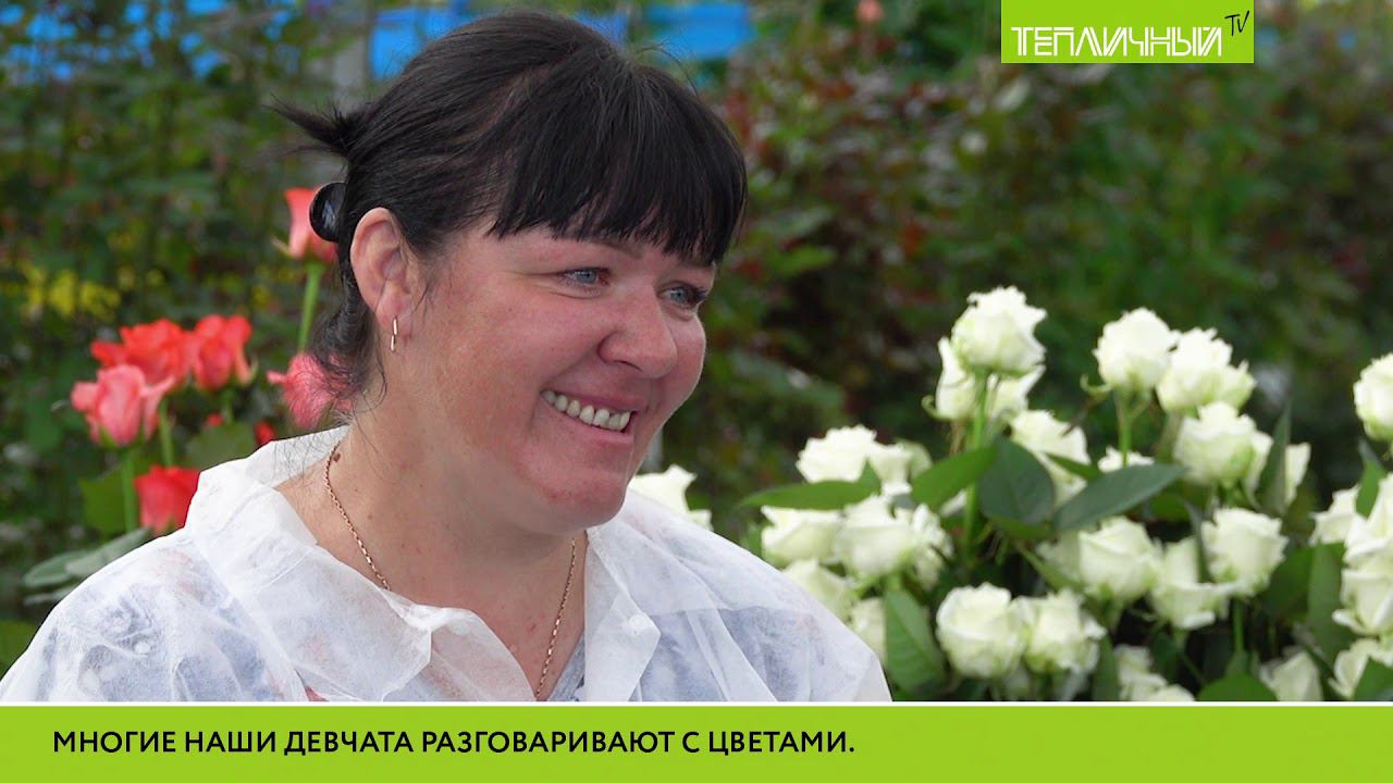Светлана Авдеева работает в "Тепличном" 20 лет, сейчас она - главная по розочкам смотреть онлайн