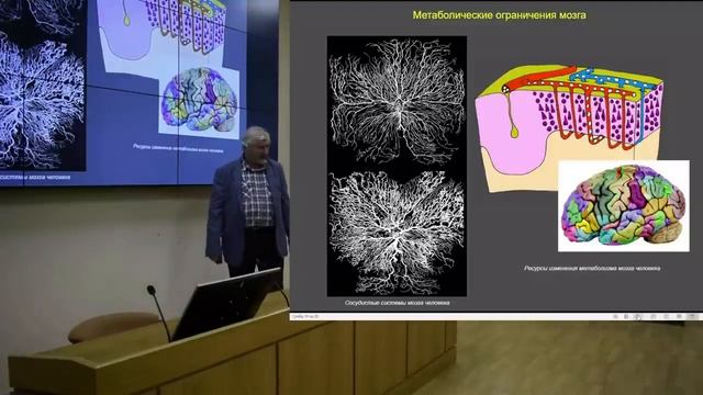 Сергей Савельев. Общефизический научный семинар 28.09.2022 смотреть онлайн