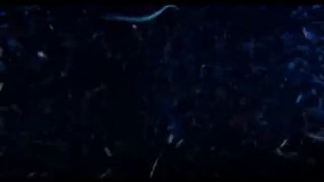 Мудрец Йога Васиштха - Обучение Рамы и полное понимание истинного абсолюта. 059 смотреть онлайн