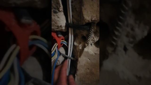 Профессионалы мозаики: Вдохновение от искусства