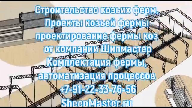 Овчарня для овец: бизнес план проект фермы овец под ключ | Овцеферма и ферма коз - строительство смотреть онлайн