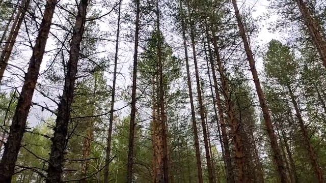 БРОВЧЕНКО//ПЕРЕЕЗД ОТМЕНЯЕТСЯ//НА ЗАРАБОТКИ В ТАЙЛАНД//ОБЗОР ВИДЕО// смотреть онлайн