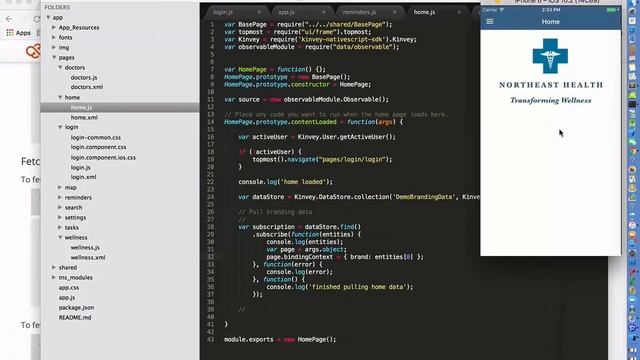 How to build better mobile apps with NativeScript and Kinvey смотреть онлайн