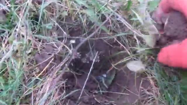 МД "КРОТ ПРО", ТЕСТ НА "ЧЕШУЮ" смотреть онлайн