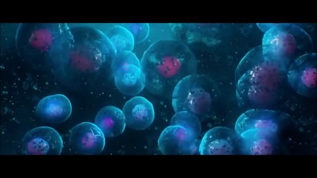 Brencht Ft Special Cecilia - Infinite смотреть онлайн