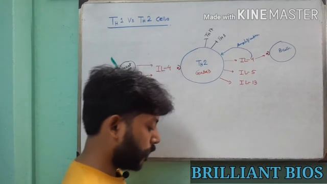 "T cell Differentiation Into Th1 & Th2 cells" "Effector Function of Th1 & Th2" смотреть онлайн