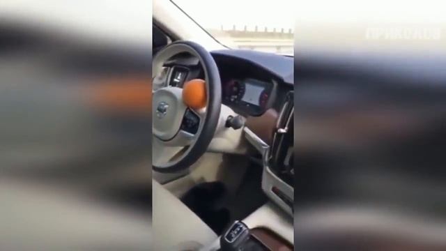 ЭТИ ПРИКОЛЫ РВУТ ИНТЕРНЕТ 10 МИНУТ ОТБОРНЫХ РУССКИХ ПРИКОЛОВ 2018 ЛУЧШАЯ ПОДБОРКА 1 смотреть онлайн