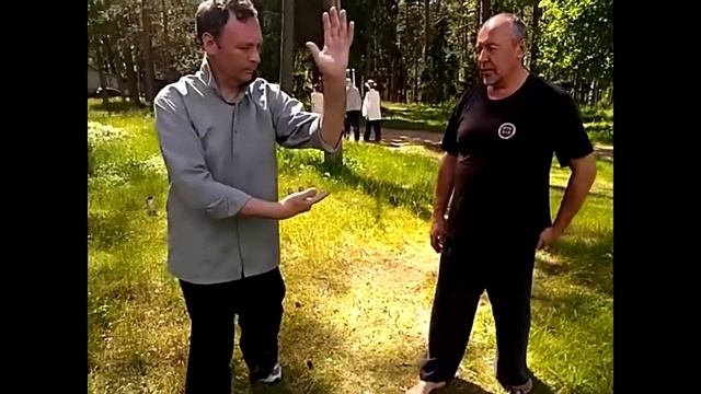Тайцзицюань. 20 - 30 шаг формы. Учебное видео. 2017г. смотреть онлайн