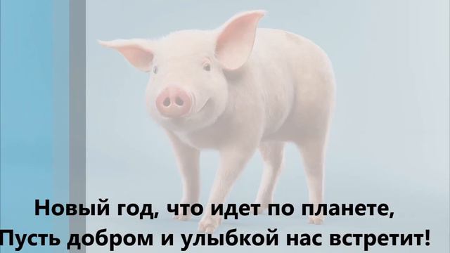 Поздравление в год Свиньи, веселое и доброе смотреть онлайн