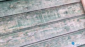 Электрический краскопульт,покраска дачи