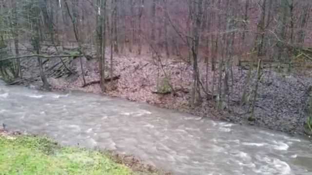 Река в разное время года смотреть онлайн