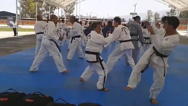 MASTER RAMON MATEO SEMINARIO TAEKWONDO MEXICO DF смотреть онлайн
