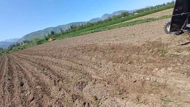 Картошка эккен техника Өзү эгип өзү көмөт экен өтө сонун бир лайк болсун 9 Май смотреть онлайн