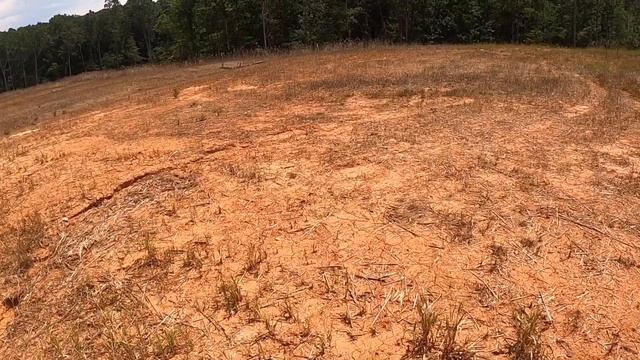 Жизнь в США. Charlotte NC - прогулка, недвижимость, мысли о Шарлот, Северная Каролина