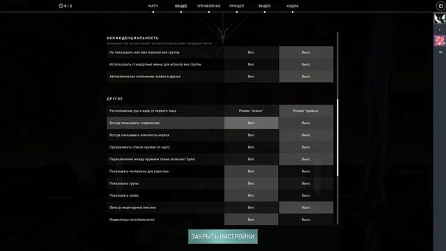 НАСТРОЙКИ КОТОРЫЕ УЛУЧШАТ ТВОЮ ИГРУ В VALORANT / RADIANT смотреть онлайн