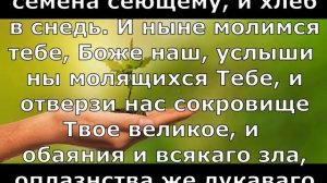 Посадка / Молитва над семенами. (Текст) / Le verbe народная волшба / 2020 / 18+
