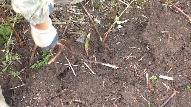 ГДЕ ИСКАТЬ НАХОДКИ! Большое путешествие по старым урочищам. смотреть онлайн