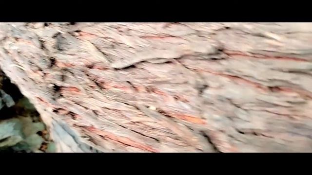 Cinematic video of River -(Home of Python?) смотреть онлайн