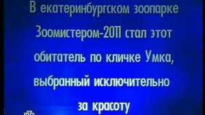 Своя игра. Эдигер - Успанов - Фёдоров (24.11.2012)