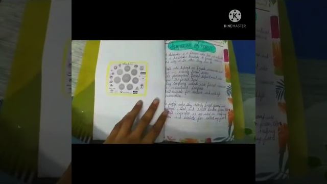 10th Class Science Project file in Natural resources @python(BM S)gang смотреть онлайн