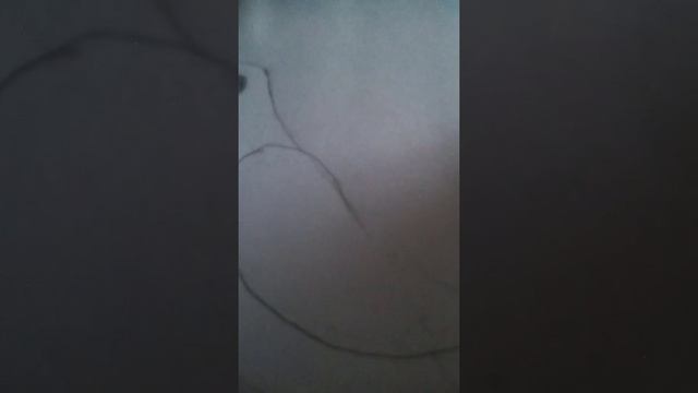 Как нарисовать волнистого попугая смотреть онлайн