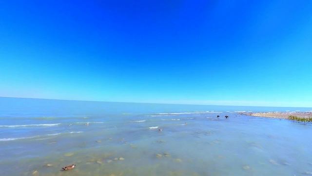 Балхаш 2022. FPV полёты с аистами, цаплями, бакланами и чайками. смотреть онлайн