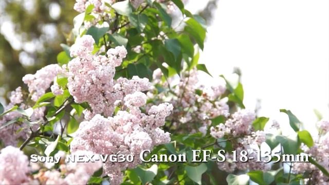 Canon EOS-60D vs. Sony NEX-VG-30/ Canon Kit Lens vs. Tamron 24-70mm смотреть онлайн