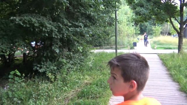 Парк. Вечерняя прогулка. смотреть онлайн