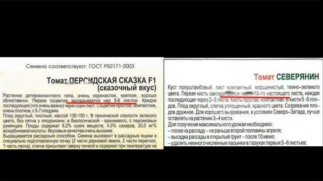 Первые шаги в ВЫРАЩИВАНИИ ТОМАТОВ смотреть онлайн