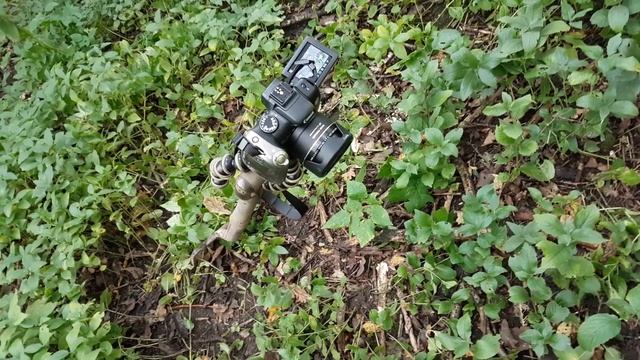 How to find a bottle dump with the Garrett AT Pro metal detector. смотреть онлайн