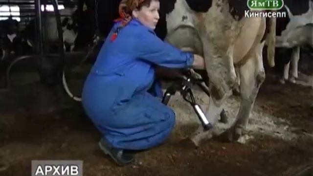 ЯмТВ Сельское хозяйство района и его перспективы смотреть онлайн