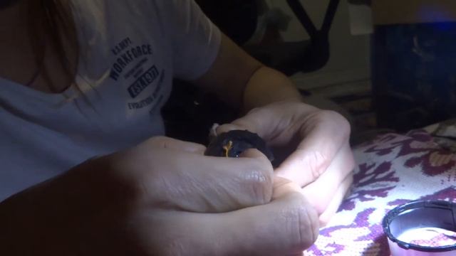 2018 01 05 SONY DSC W730 оптика Mifcorp Systems     35