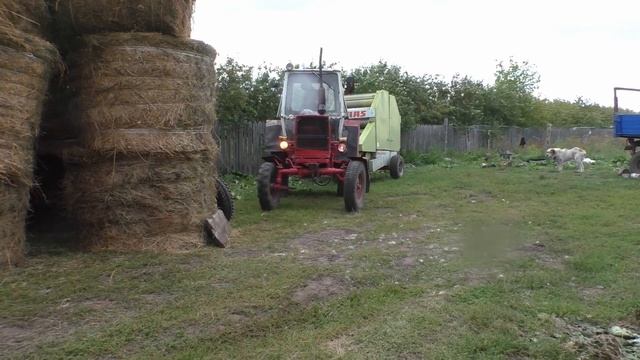 Подушка ортопедическая для водителей на сиденье от геморроя смотреть онлайн