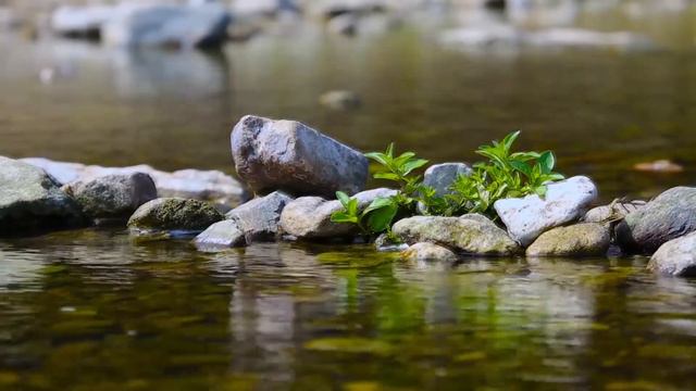Горный ручей/Mountain Stream/Bergbach смотреть онлайн